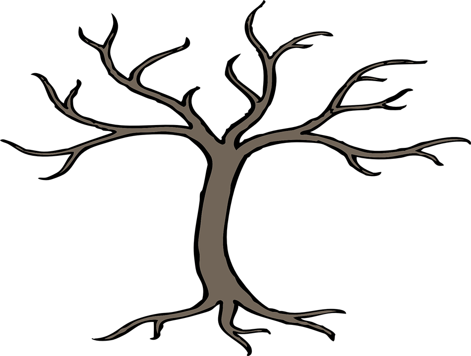 Tree Branches Bare Root Winter Forest Nature - Bare Apple Tree, Transparent background PNG HD thumbnail