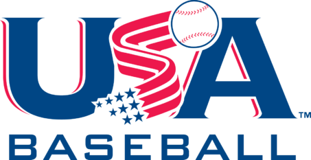 Minors Yankees Team Logo