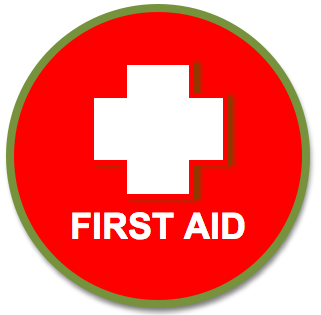 Basic First Aid Png - Basic First Aid Png Hdpng.com 321, Transparent background PNG HD thumbnail