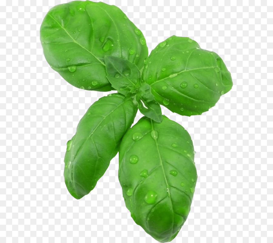 Cocktail Pizza Pesto Organic Food Basil   Green Leaves - Basil Leaf, Transparent background PNG HD thumbnail