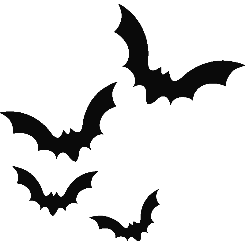 Bat Png - Bat, Transparent background PNG HD thumbnail