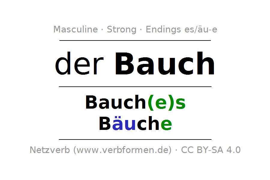 Declension And Plural Of Bauch - Bauch, Transparent background PNG HD thumbnail