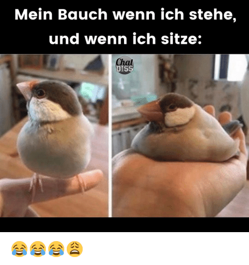 Memes, ????, And Iched: Mein Bauch Wenn Ich Stehe, Und Wenn Ich - Bauch, Transparent background PNG HD thumbnail