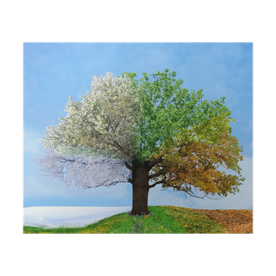 Art trees love collection for