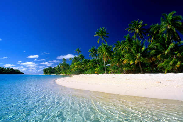 Tropics Beach Background Wallpaper Download - Beach, Transparent background PNG HD thumbnail