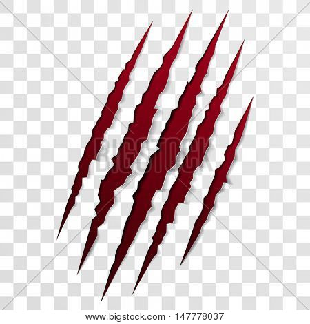 Claw Scratch Mark. Vector Bear Or Tiger Paw Claw Scratch Bloody Trace. Shredded Paper - Bear Claw Scratch, Transparent background PNG HD thumbnail