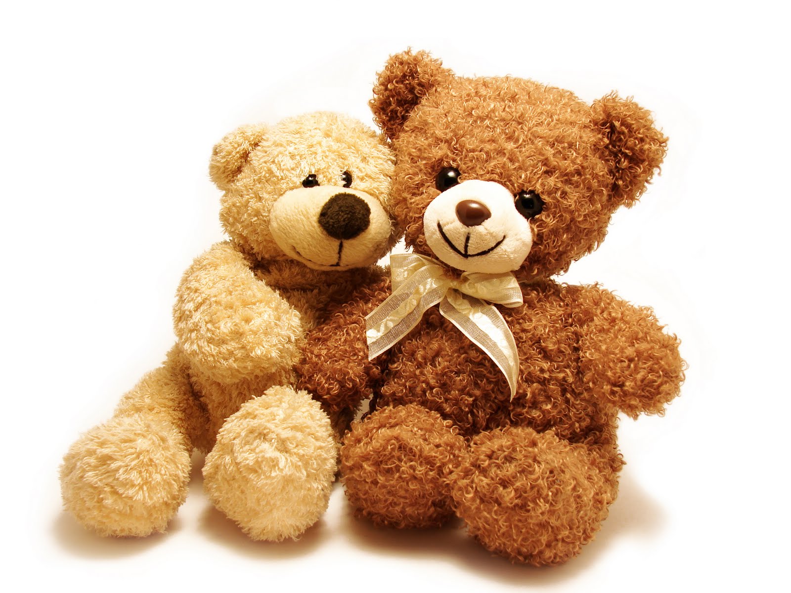 Sweet Teddy Couple Love Hd Photos Free Download 1080P - Bear Face, Transparent background PNG HD thumbnail