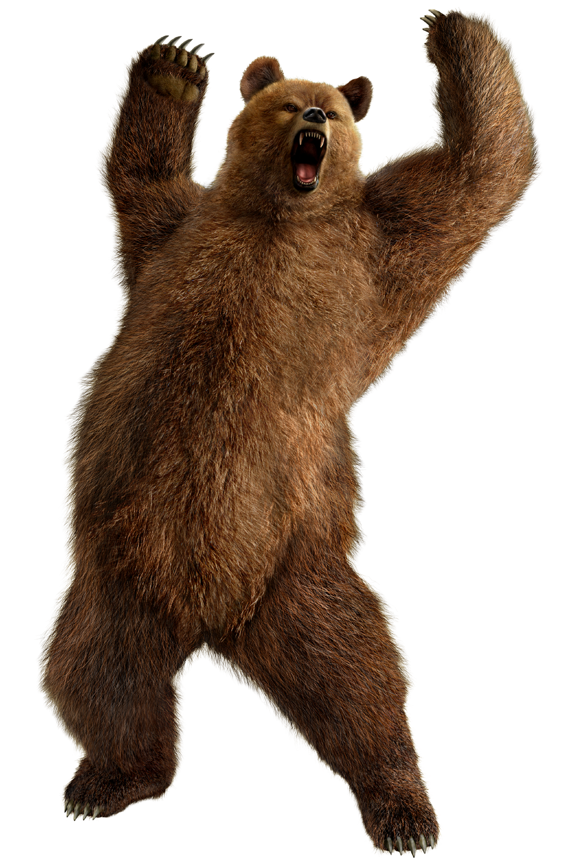 Bear clip art download page 9