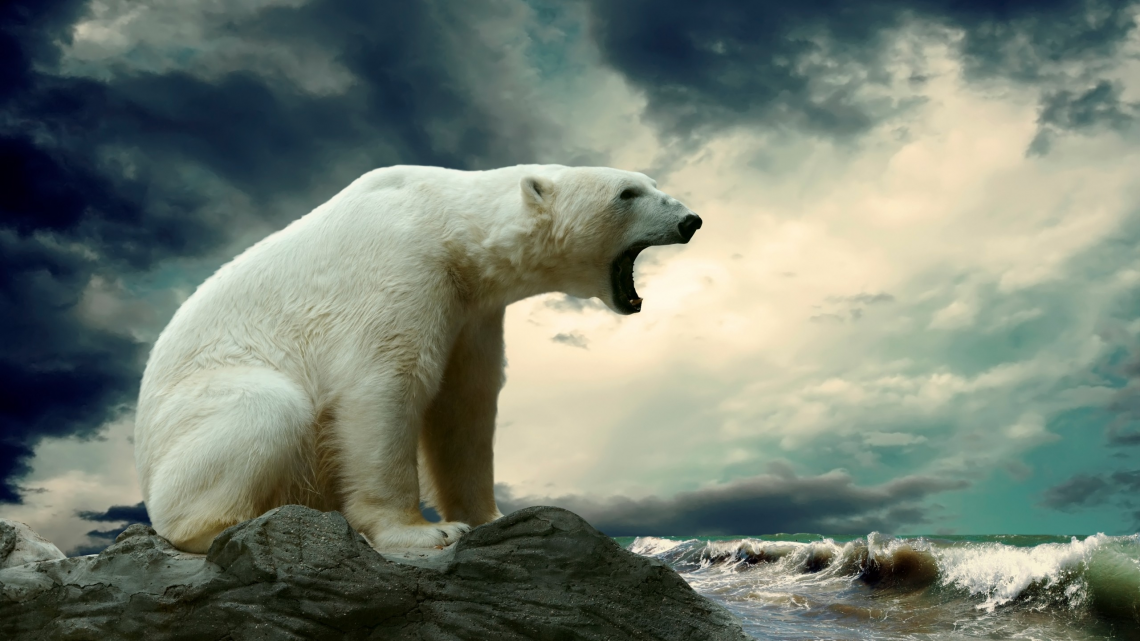 Spartan Polar Bear - Bear, Transparent background PNG HD thumbnail