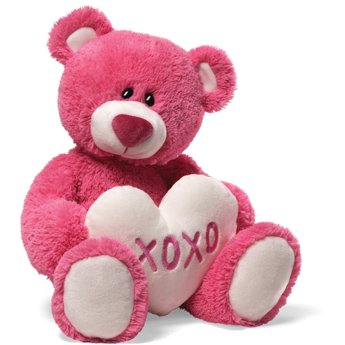 Teddy Bear Png Hd Png Image - Bear, Transparent background PNG HD thumbnail