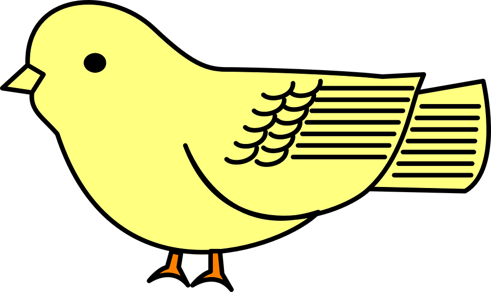 Bébé, Oiseau, Jaune, Poussin - Bebe Oiseau, Transparent background PNG HD thumbnail