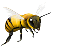 honey bee bee honey animal in