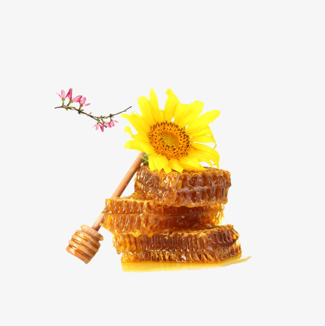 Hd Sunflower Honey Png Material Free Png - Bee, Transparent background PNG HD thumbnail