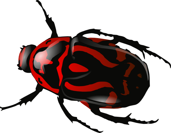 Red Insect Bug Png Image - BeeBeetle, Transparent background PNG HD thumbnail