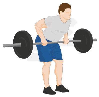 Bent Over Row - Bent Barbell, Transparent background PNG HD thumbnail