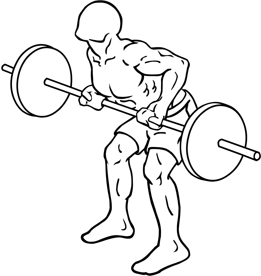 File:reverse Grip Bent Over Rows 2.png - Bent Barbell, Transparent background PNG HD thumbnail