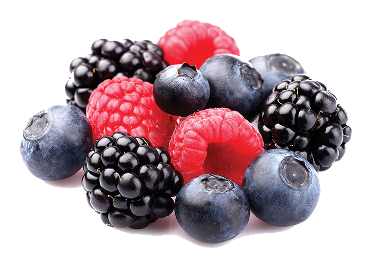 Berries Png Pic - Berries, Transparent background PNG HD thumbnail