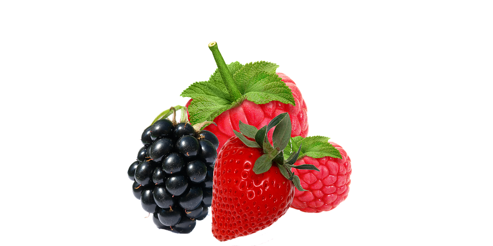 Fresh, Berries, Blackberry, Berry, Blackberries - Berries, Transparent background PNG HD thumbnail