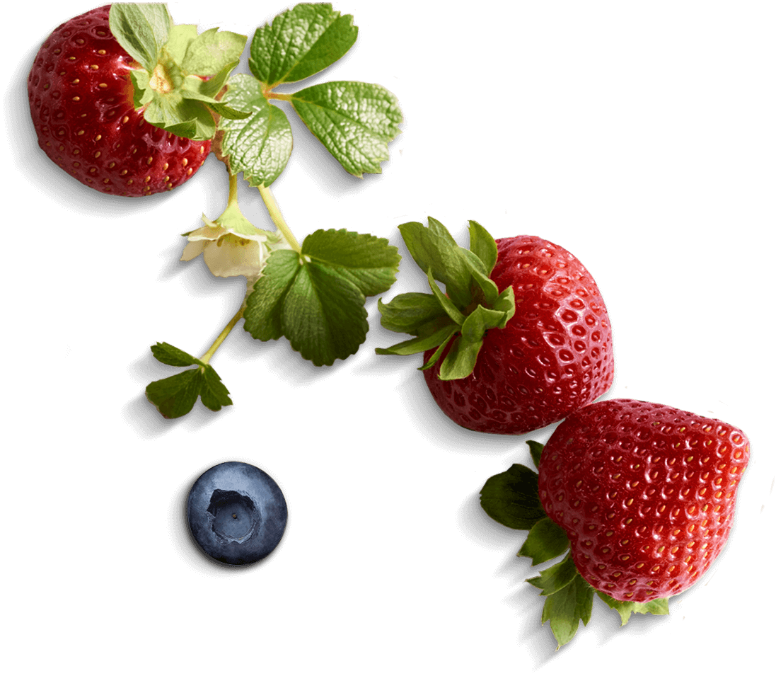 Thatu0027S Why All Our Berries Are Made For Sharing. - Berries, Transparent background PNG HD thumbnail