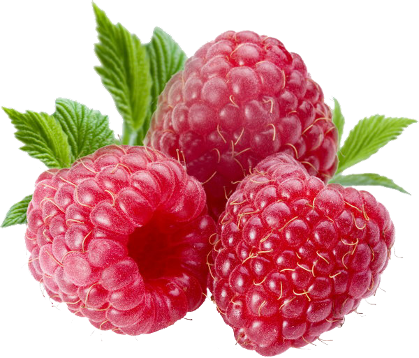 Berries PNG Transparent Image