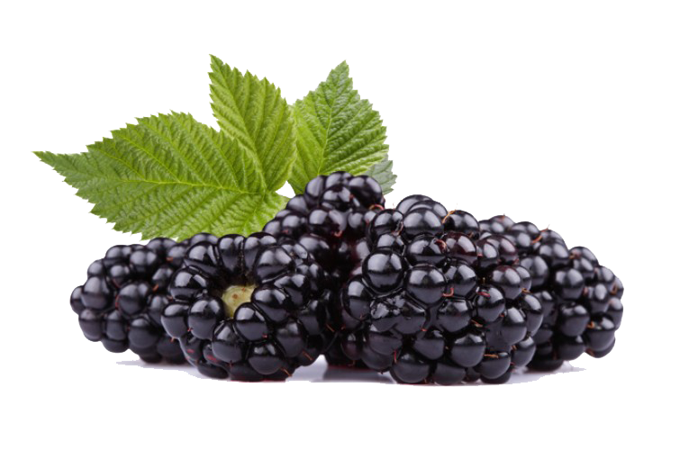 Black Raspberries Png Hd - Berry, Transparent background PNG HD thumbnail