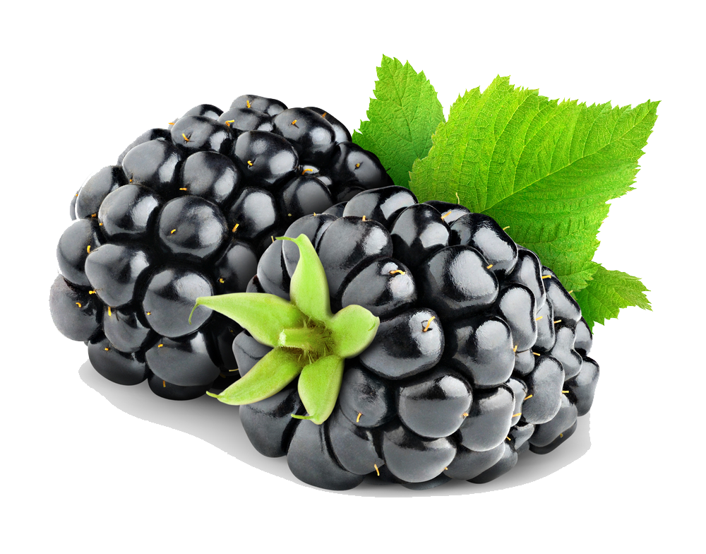 Blackberry Fruit Png Hd Png Image - Berry, Transparent background PNG HD thumbnail