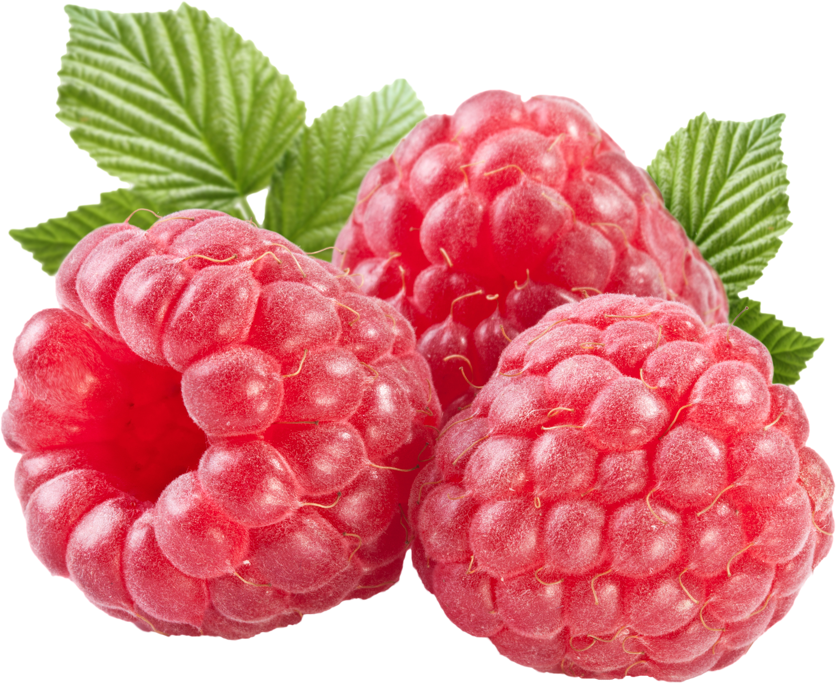 Berries PNG Clipart