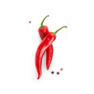The chili pepper is the fruit