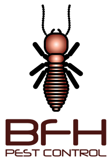 BFH Logo. Vector Graphic Bran