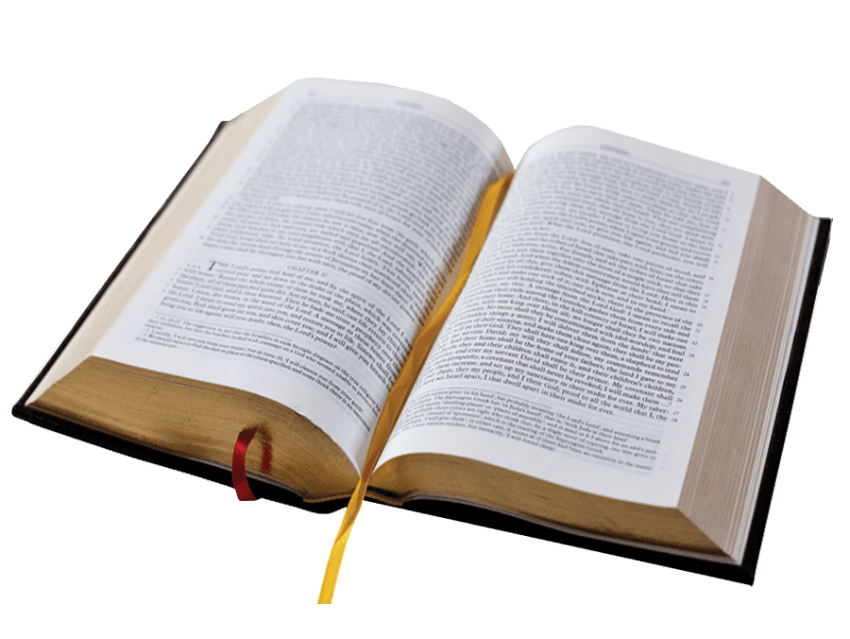 Free Png Open Bible Book Png Images Transparent - Bible Book, Transparent background PNG HD thumbnail