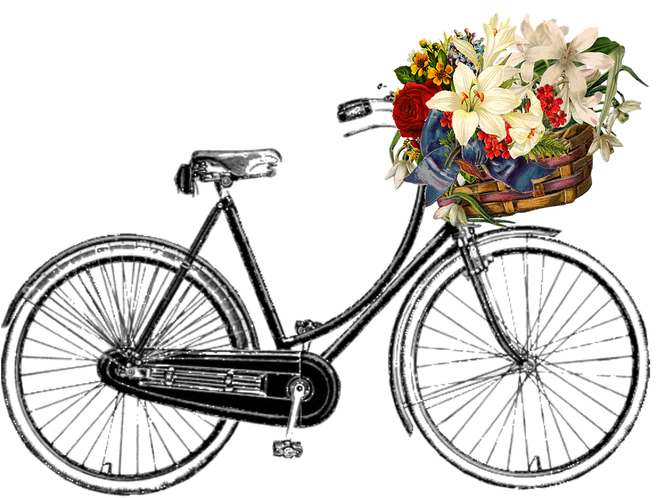 Bicycle PNG File - Bicycle PN