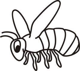 honigbiene insekt zeichnung s