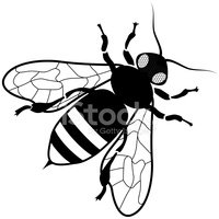 Vektor Honig Biene Draufsicht In Schwarz Und Weiß - Biene Schwarz Weiss, Transparent background PNG HD thumbnail