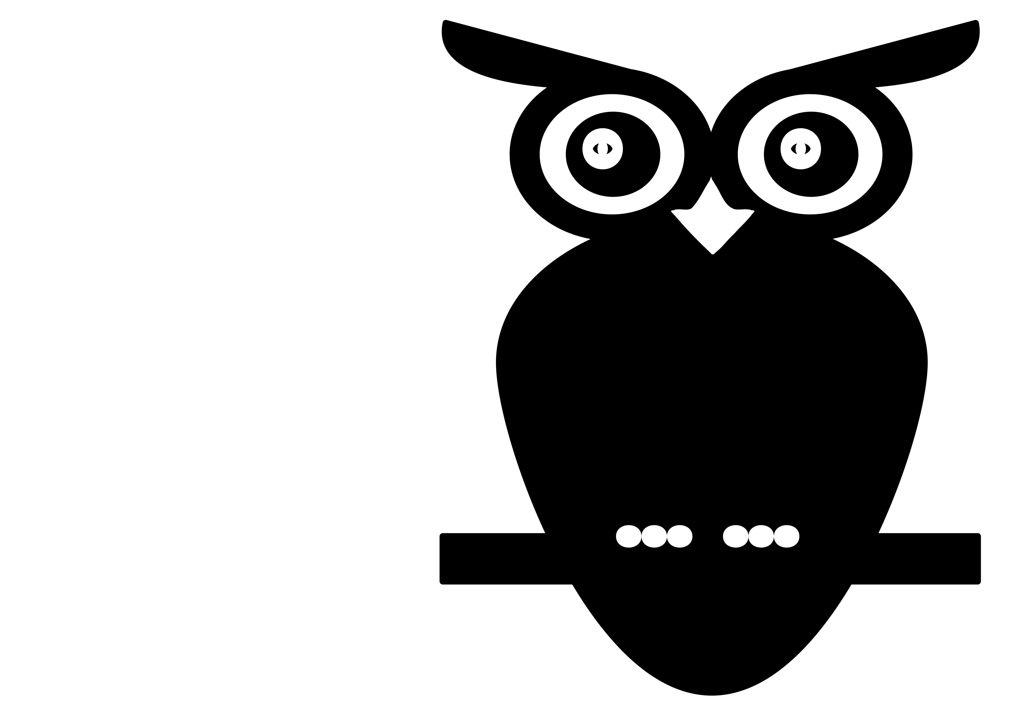 Black And White Owl - Big And Small Black And White, Transparent background PNG HD thumbnail