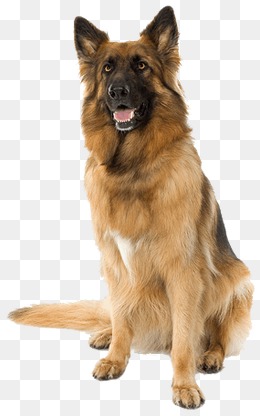 Big Dogs - Big Dog, Transparent background PNG HD thumbnail
