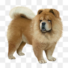 Hand Painted Chow Chow, Big Dog, Chow, Plush Png Image And Clipart - Big Dog, Transparent background PNG HD thumbnail