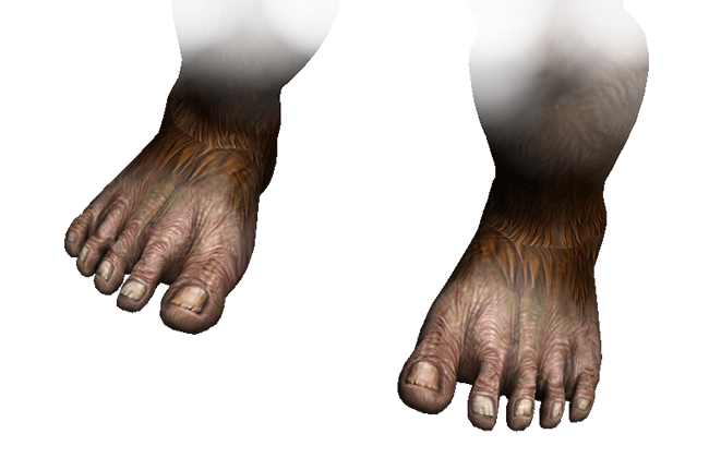 A Sasquatch Canu0027T Be A Sasquatch Without The Feet! - Big Toe, Transparent background PNG HD thumbnail