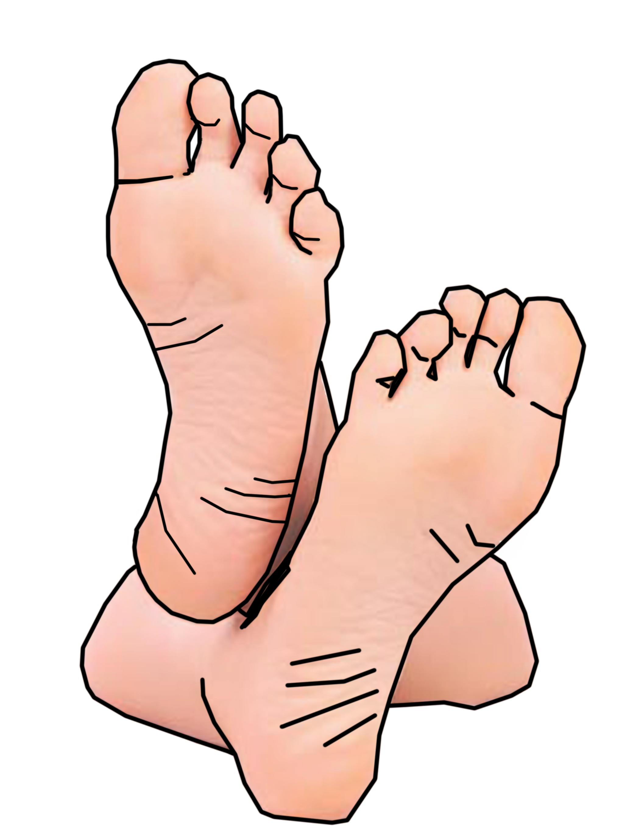 Cartoon Bare Feet Clipart - Big Toe, Transparent background PNG HD thumbnail