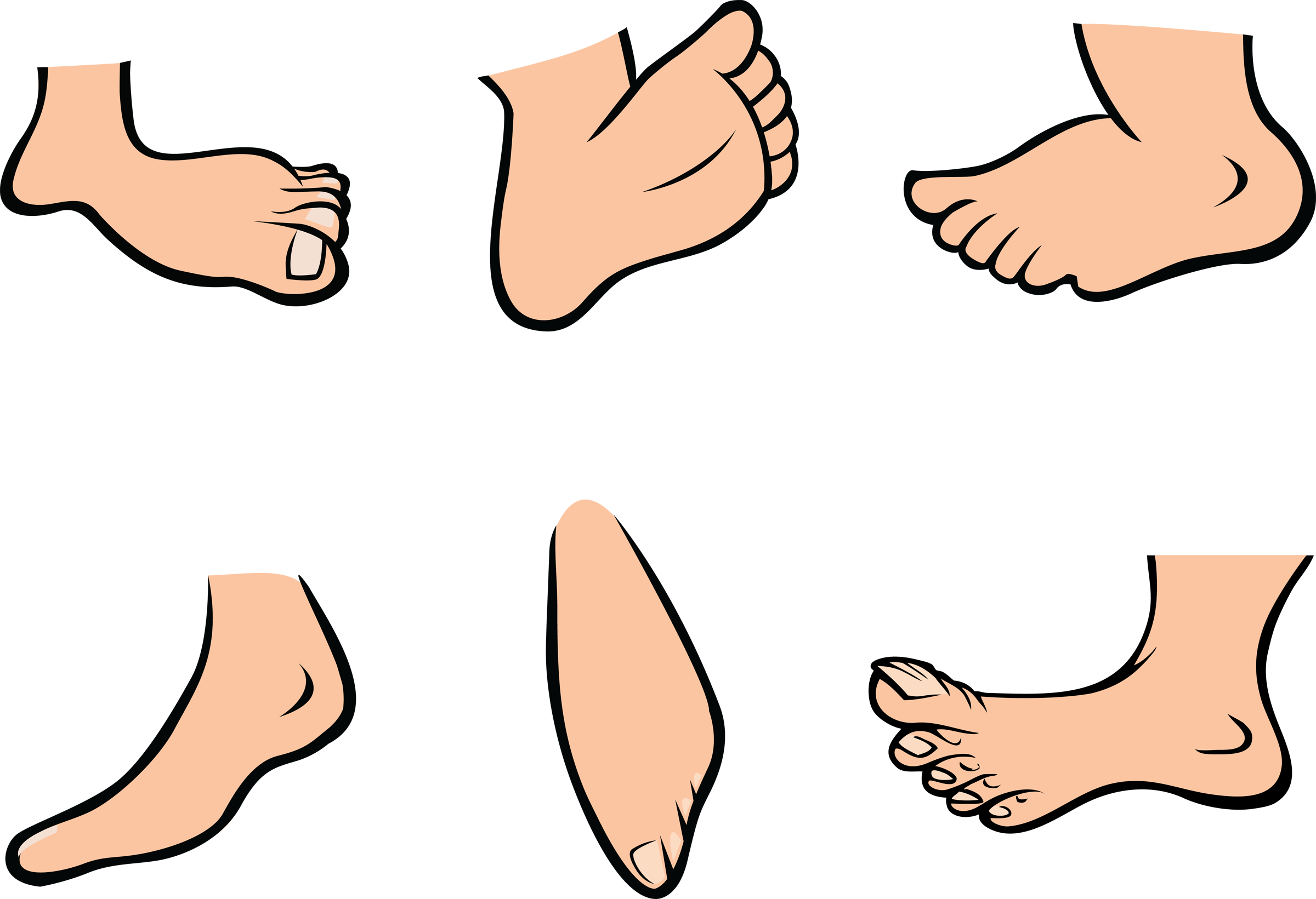 Cartoon Foot Clipart - Big Toe, Transparent background PNG HD thumbnail