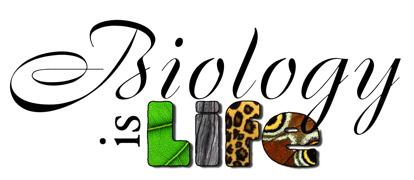 Biology Cover Page Png Hdpng.com 1426 - Biology Cover Page, Transparent background PNG HD thumbnail