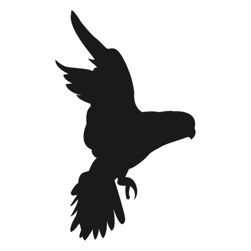 Bird Silhouette 2 Transparent Png - Bird Claw, Transparent background PNG HD thumbnail