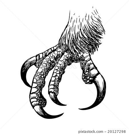Eagle Claw, Hawk Bird Doodle Hand Drawn - Bird Claw, Transparent background PNG HD thumbnail