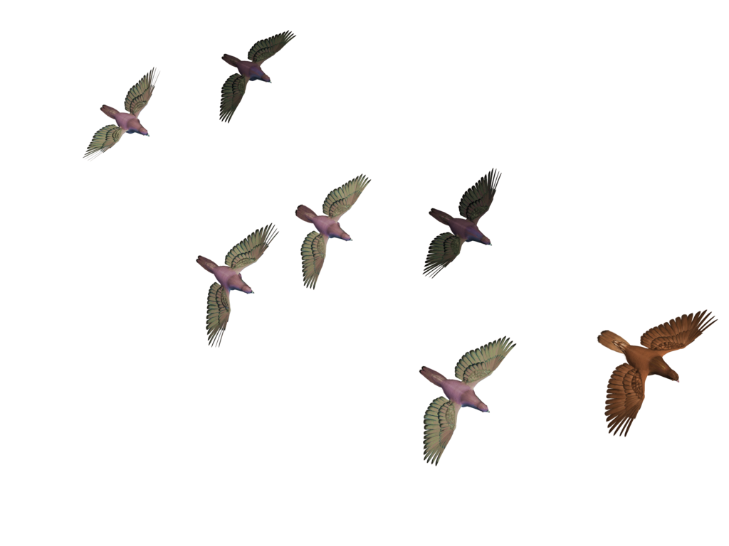 Flying Birds 03 Png Stock By Roy3D Hdpng.com  - Bird In Flight, Transparent background PNG HD thumbnail