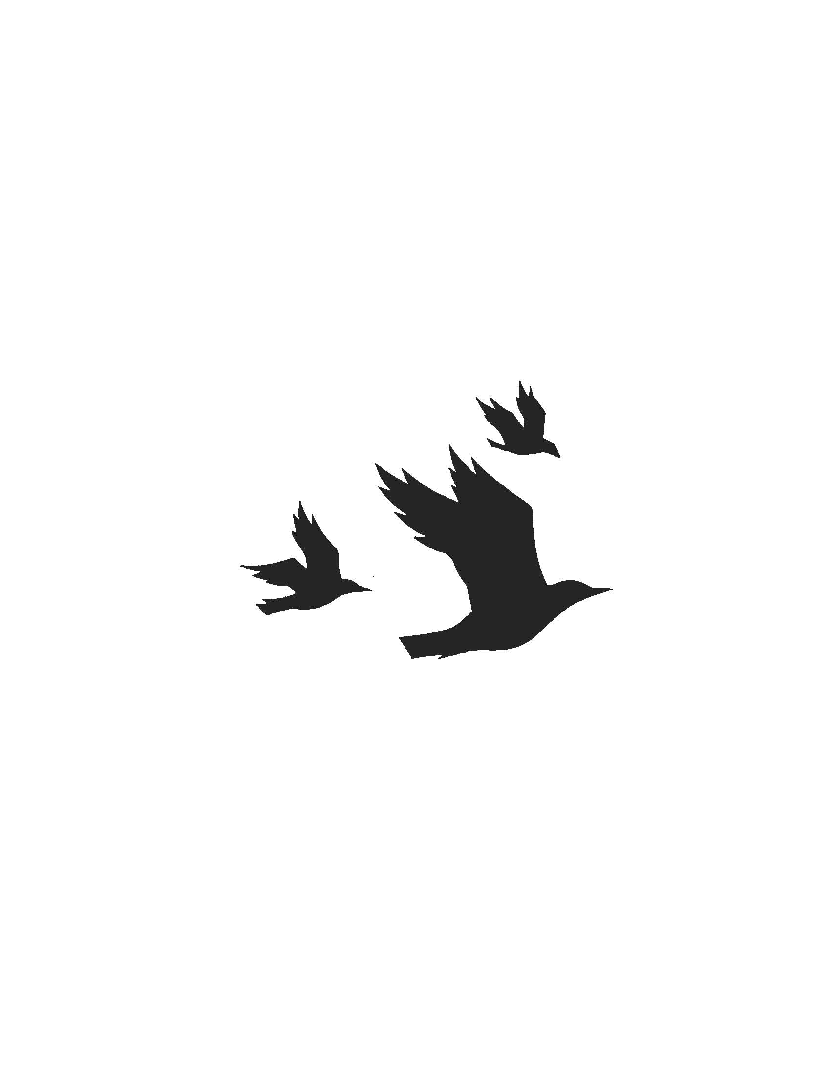 Flying Birds Template From Nikki Mcclure | July/august 2009 - Bird Outline, Transparent background PNG HD thumbnail