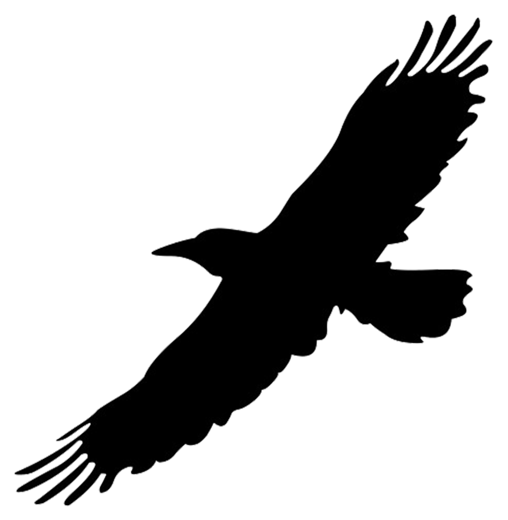Silhouette Of Flying Big Bird Hdpng.com  - Bird Outline, Transparent background PNG HD thumbnail