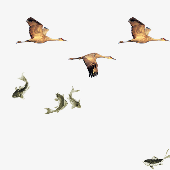 Birds And Fish, Bird, Fish, Symbiosis Png And Psd - Birds And Fish, Transparent background PNG HD thumbnail