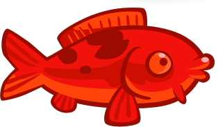 File:red Koi Fish.png - Birds And Fish, Transparent background PNG HD thumbnail