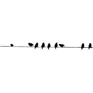 Animals   Birds On A Wire   Wall Stickz   Vinyl Wall Decals - Birds On A Wire, Transparent background PNG HD thumbnail