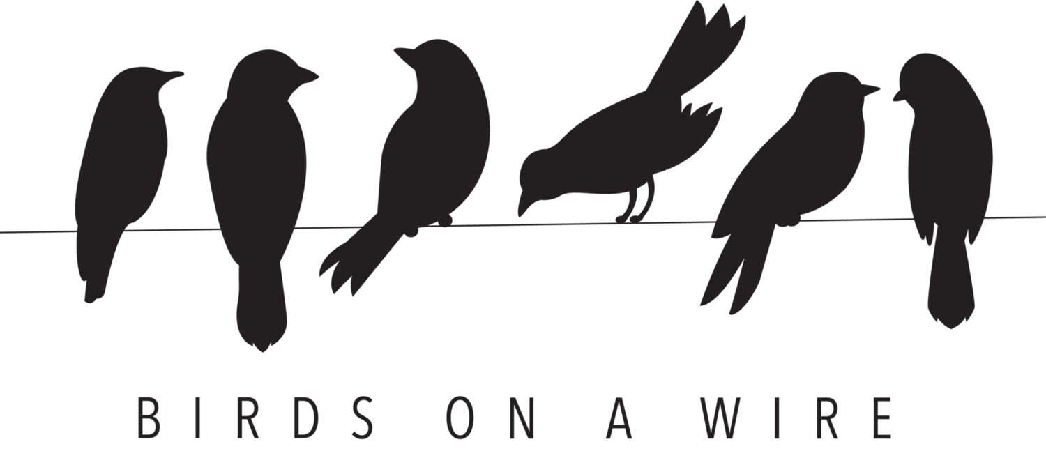Birds On A Wire PNG-PlusPNG.c