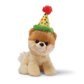 Cute Birthday Dog with a Cupc